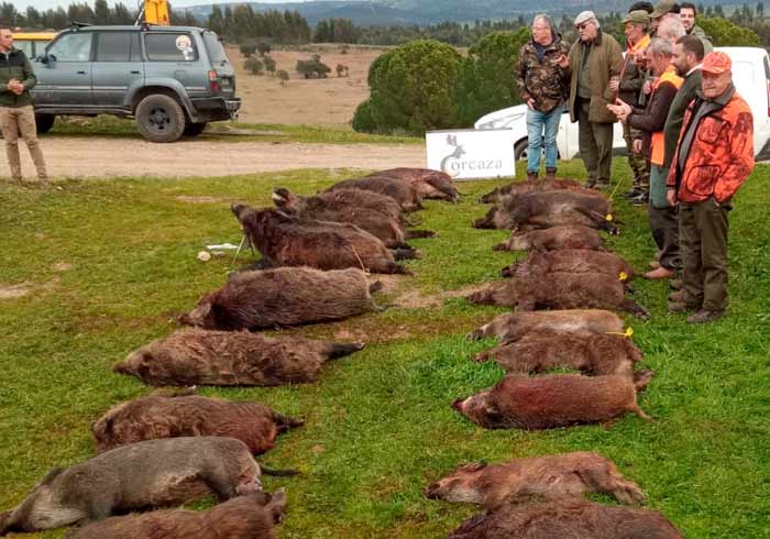 Resultado Montería Heredade do Monvizo 2025 Corcaza